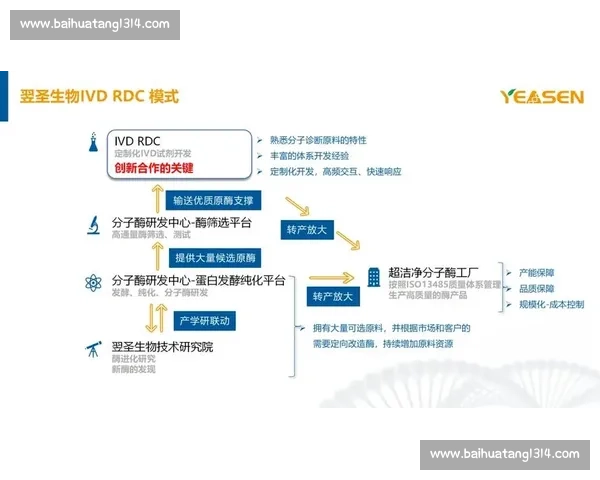 全国青少年体育竞赛项目全面发展与技能提升创新研究报告